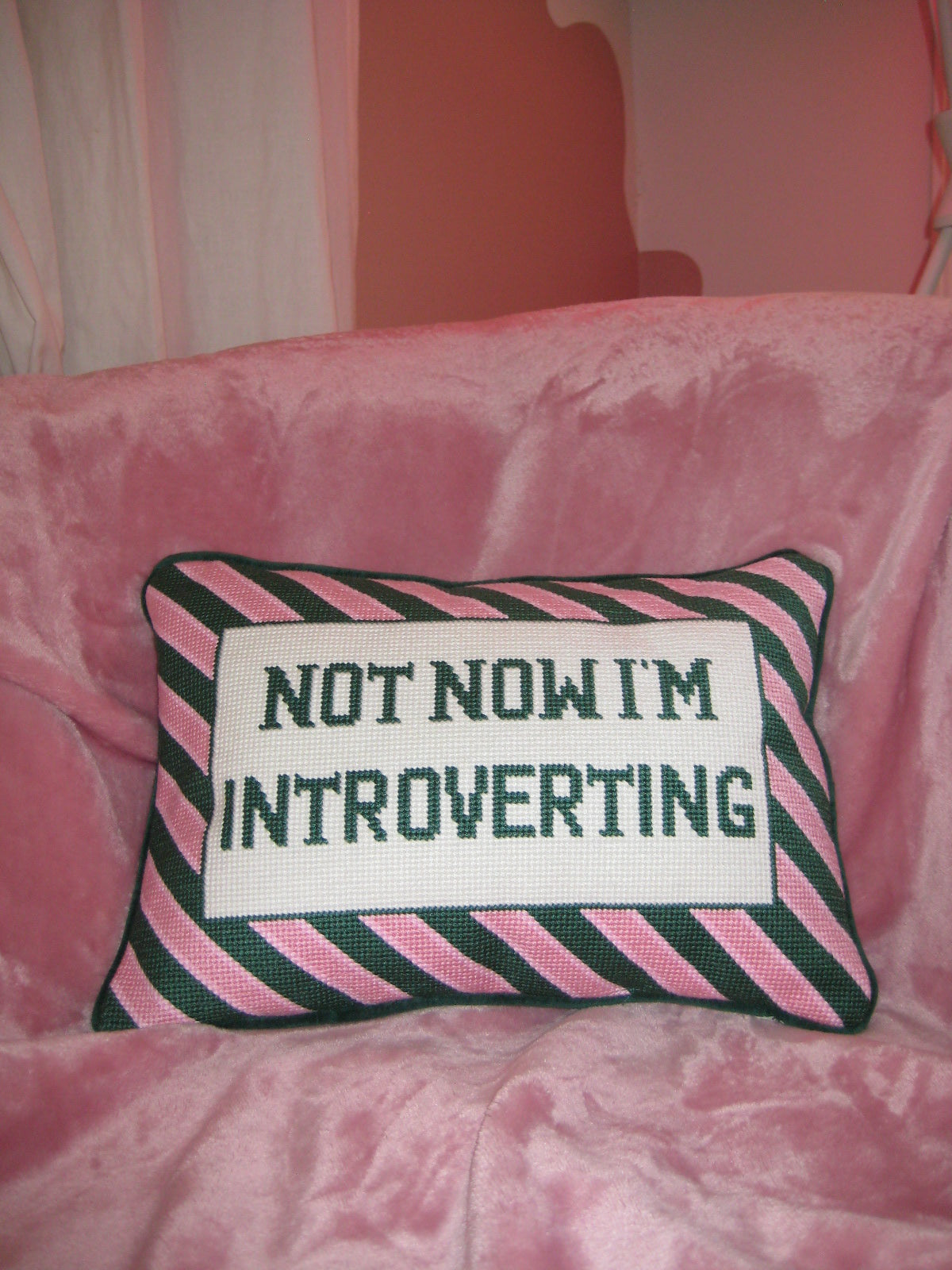 not now.. im introverting pillow