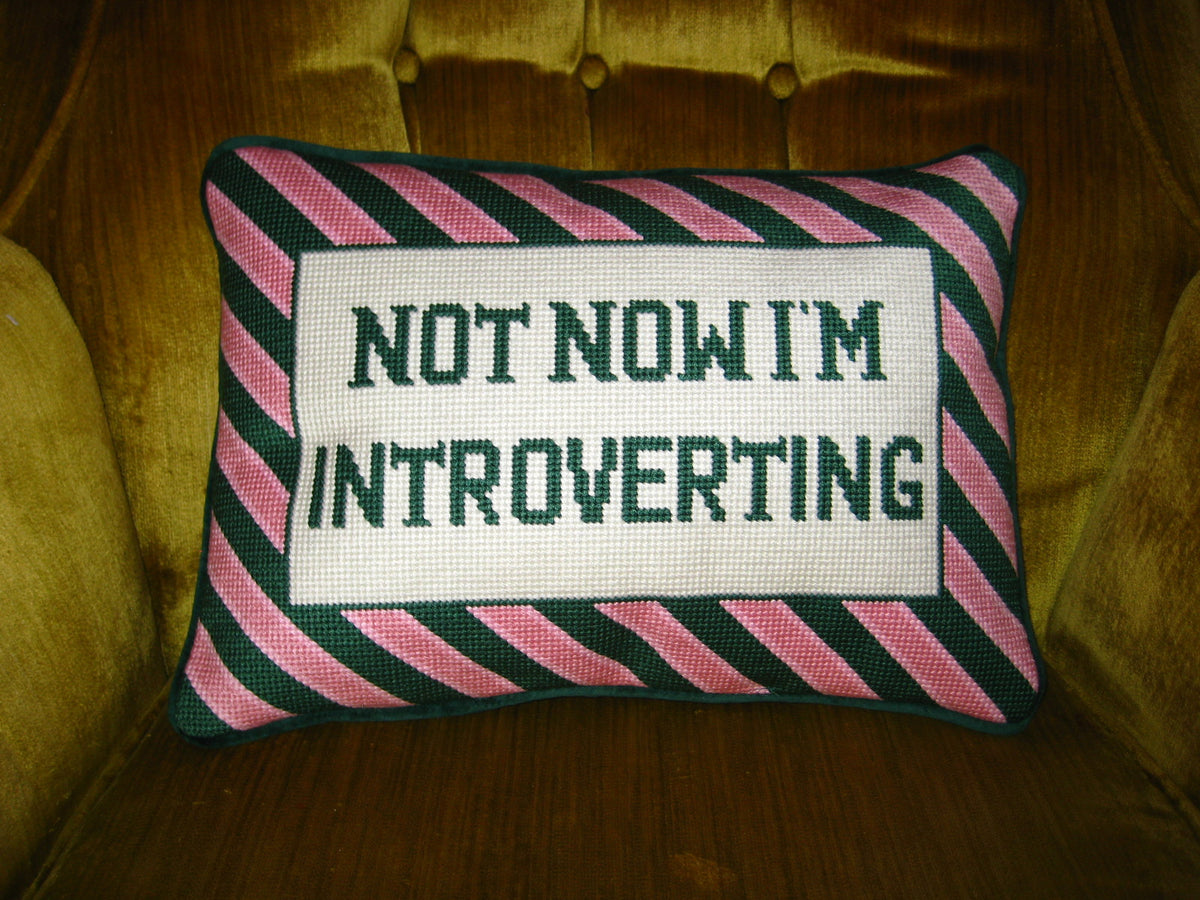 not now.. im introverting pillow