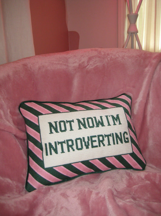 not now.. im introverting pillow