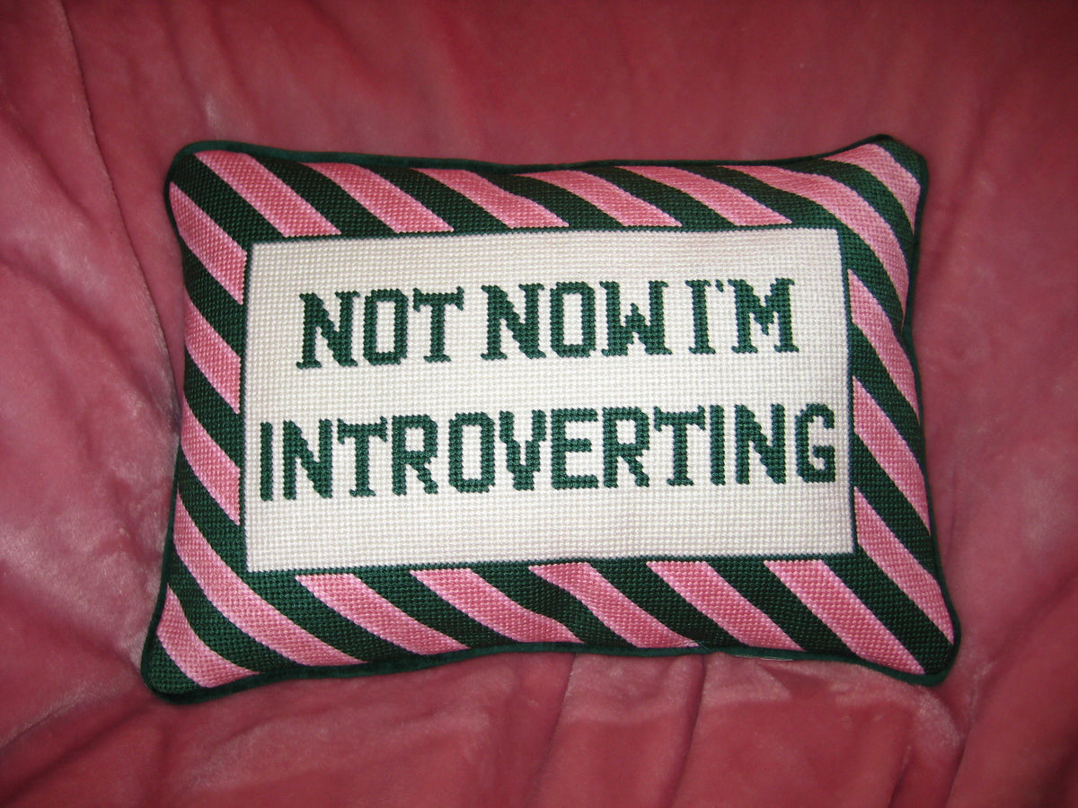 not now.. im introverting pillow