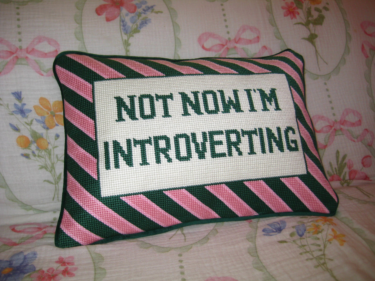 not now.. im introverting pillow